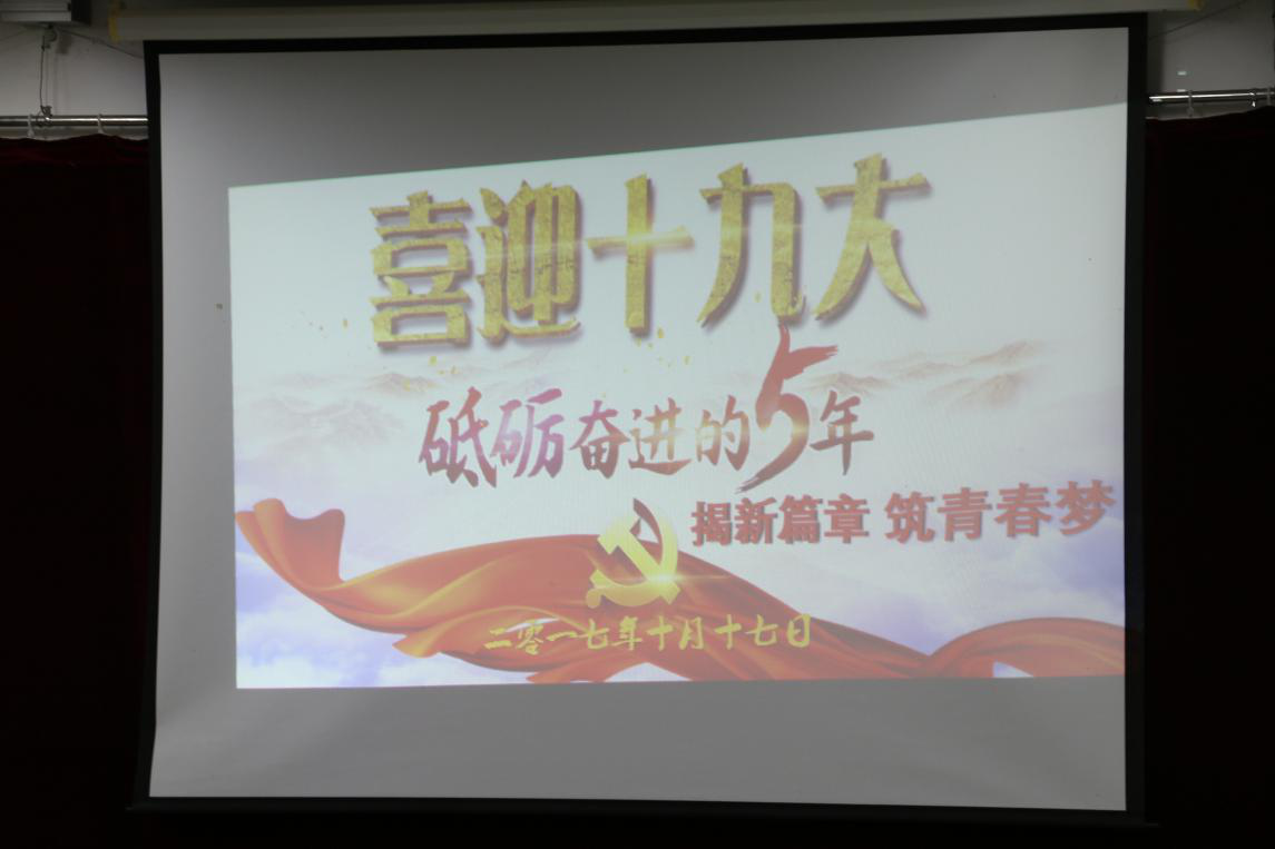 图片11 图片11